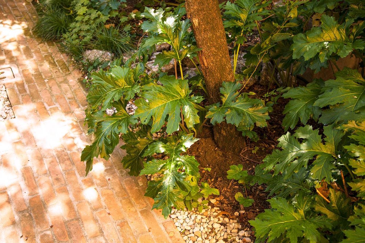 Urban Jungle Apartment Bologna Ngoại thất bức ảnh